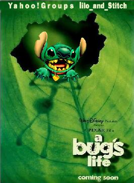 A bug's life